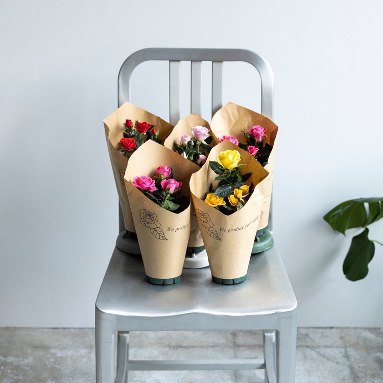 ̵ۥߥ˥Х5ȭåȡ󥯥