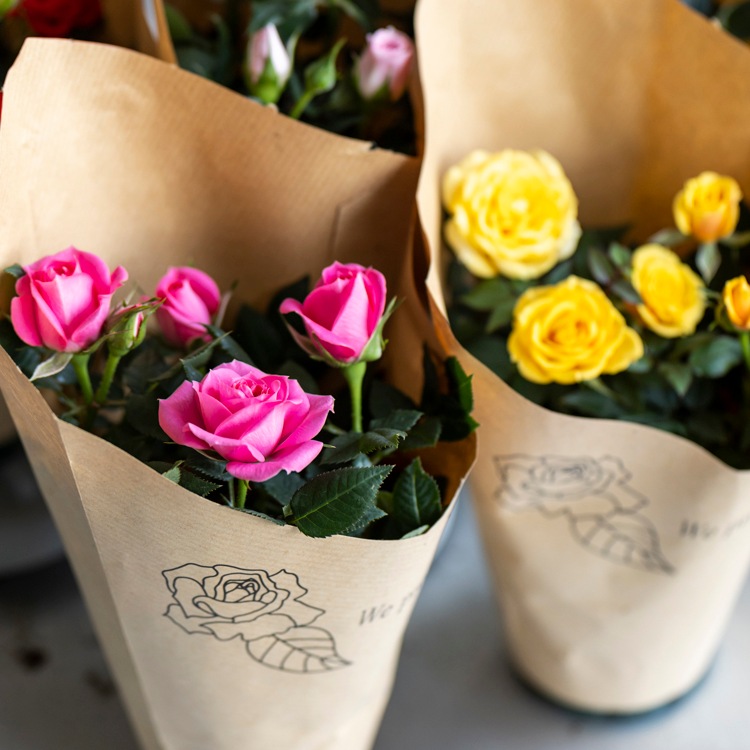 ̵ۥߥ˥Х5ȭåȡ󥯥