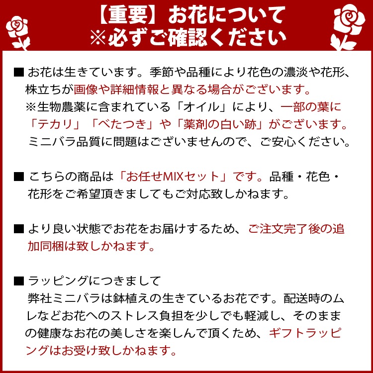 ̵ۥߥ˥Х5ȭåȡ󥯥