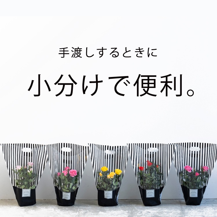 ̵ۥߥ˥Х5ȭåȡ󥯥