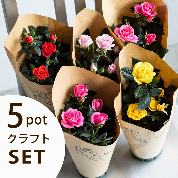 ̵ۥߥ˥Х5ȭåȡ󥯥