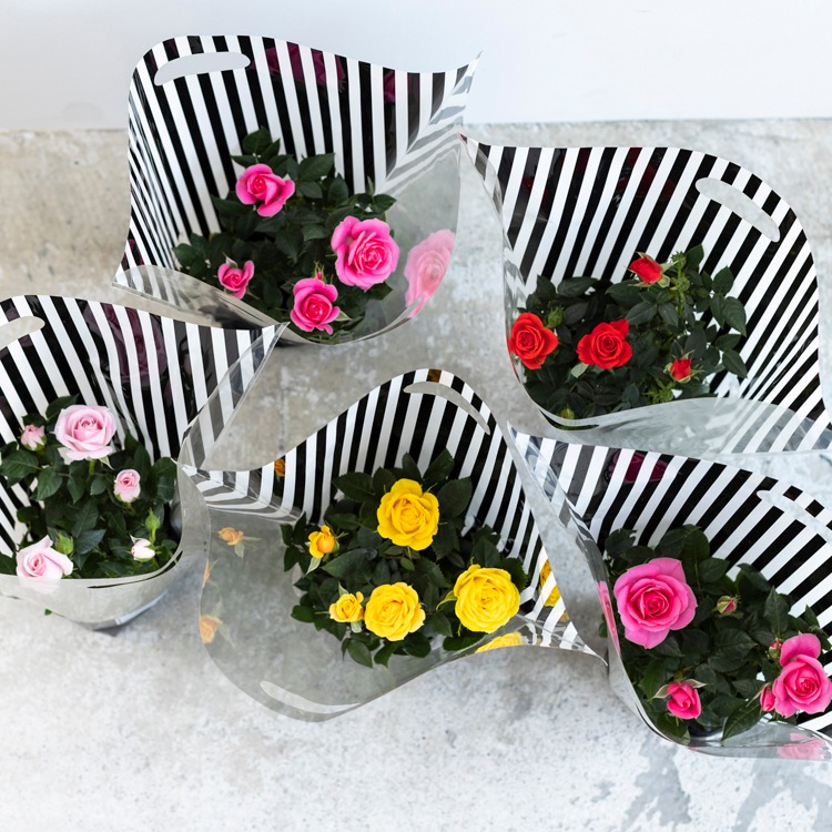 ̵ۥߥ˥Х5ȭåȡ󥯥