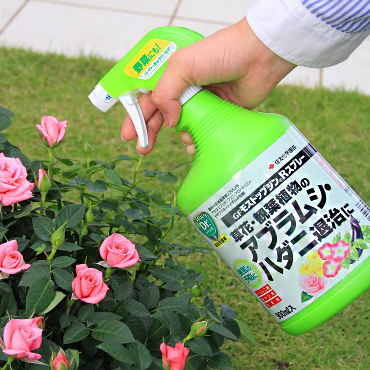 ⥹ȥåץRץ졼900ml