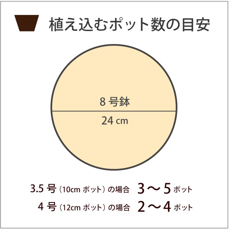 �����ݥåȴ�8���������(6��)