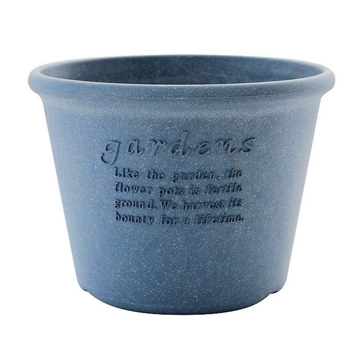 �����ݥåȴ�8���������(6��)