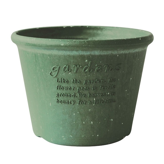 �����ݥåȴ�8���������(6��)