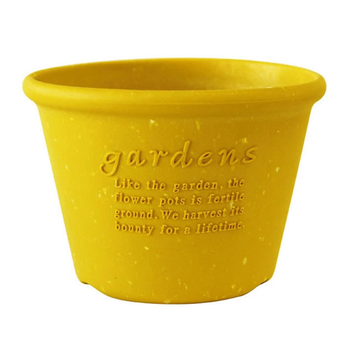 �����ݥåȴ�8���������(6��)