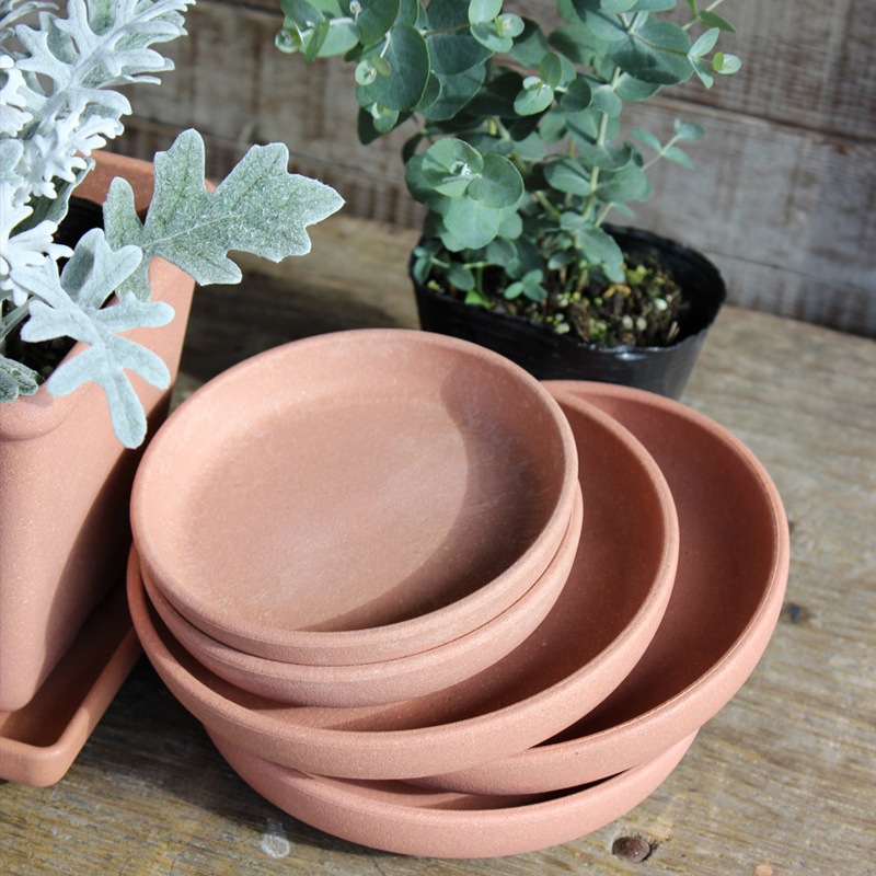 6�楨���ץ졼�ȼ�����(6��)