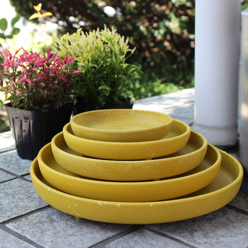 6�楨���ץ졼�ȼ�����(6��)