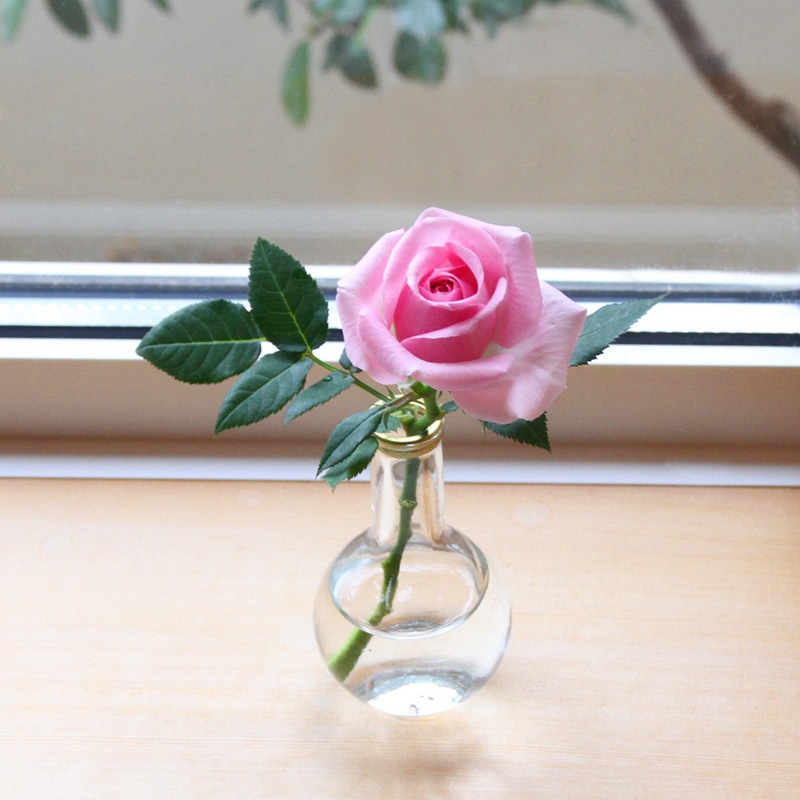 �ߥ˥Х顡�ޤ����������������å�