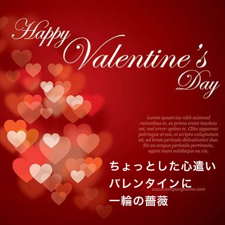 �ߥ˥Х顡�ޤ����������������å�