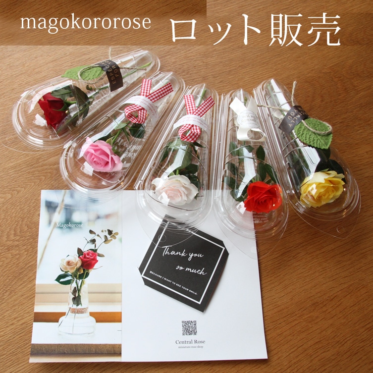 �ߥ˥Х顡�ޤ����������������å�