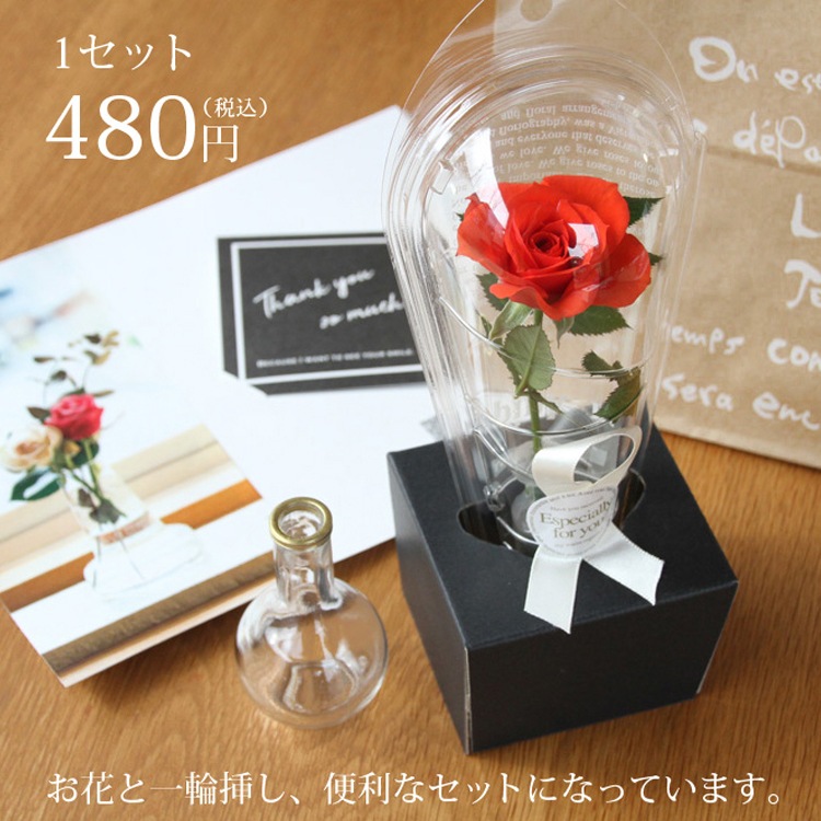 �ߥ˥Х顡�ޤ����������������å�