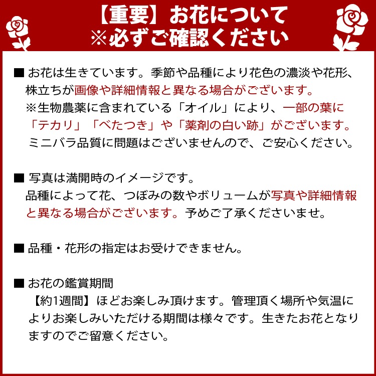 �ߥ˥Х顡�ޤ����������������å�