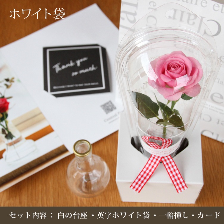 �ߥ˥Х顡�ޤ����������������å�