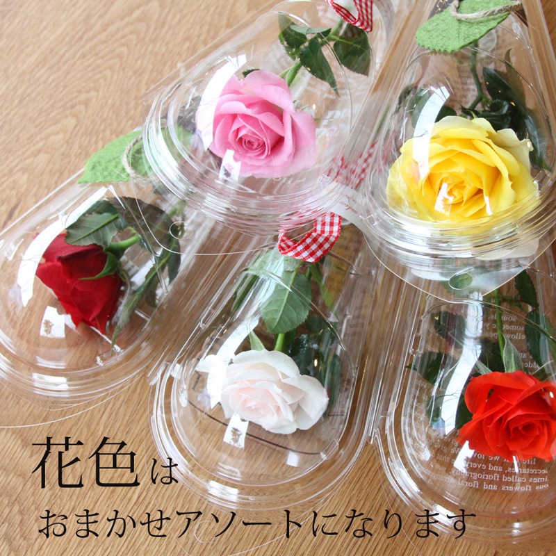 �ߥ˥Х顡�ޤ����������������å�