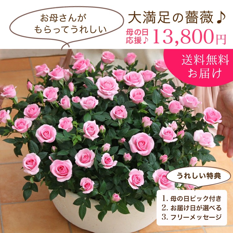 ���٤�Ƥ����ۡ͡�����̵�����������ŷ���ռ��ޡ��������������ե�