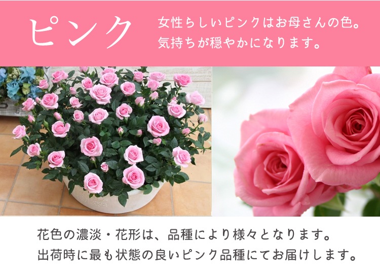 ���٤�Ƥ����ۡ͡�����̵�����������ŷ���ռ��ޡ��������������ե�