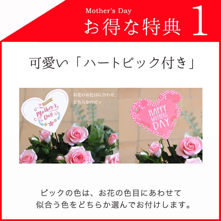 ���٤�Ƥ����ۡ͡�����̵�����������ŷ���ռ��ޡ����������ե������