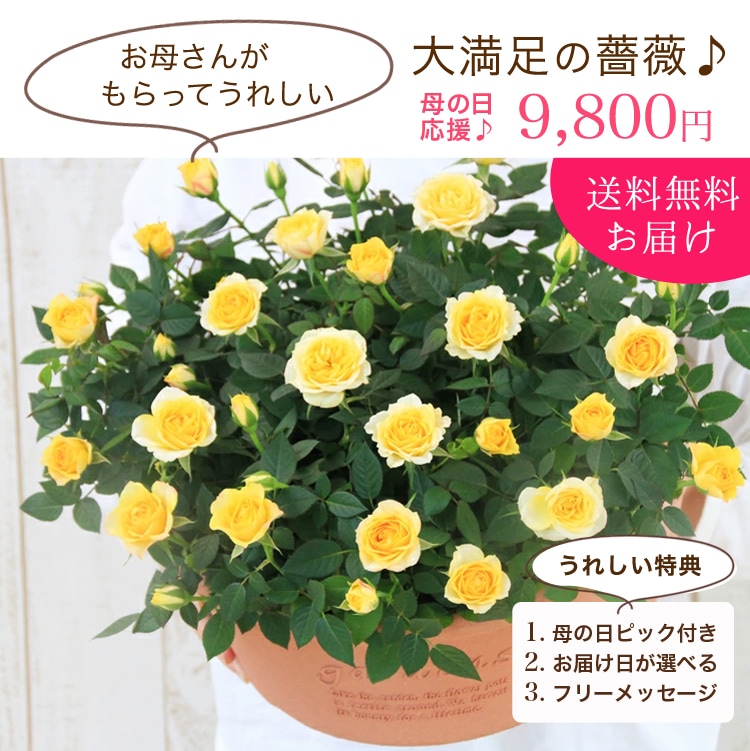 ���٤�Ƥ����ۡ͡�����̵�����������ŷ���ռ��ޡ����������ե������