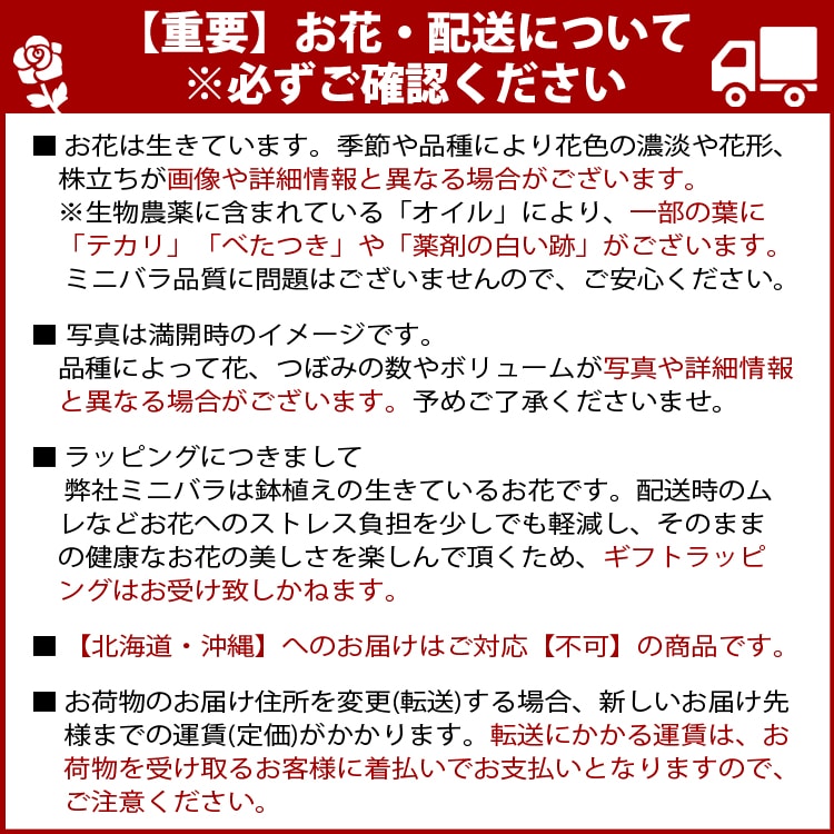 ���٤�Ƥ����ۡ͡�����̵�����������ŷ���ռ��ޡ����������ե������