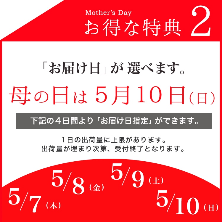 ���٤�Ƥ����ۡ͡�����̵�����������ŷ���ռ��ޡ����������ե������