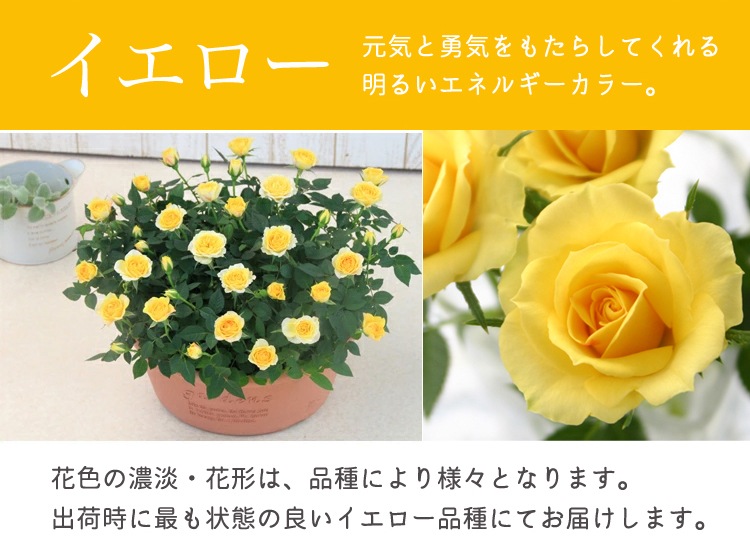 ���٤�Ƥ����ۡ͡�����̵�����������ŷ���ռ��ޡ����������ե������