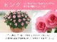 ���٤�Ƥ����ۡ͡�����̵�����������ŷ���ռ��ޡ����������ե������