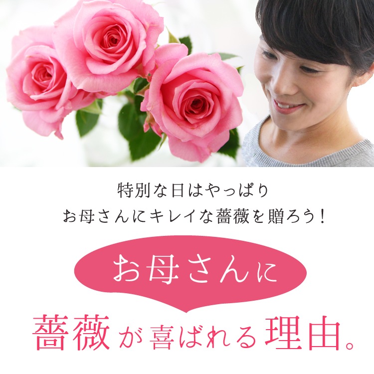 ������̵�����������ŷ���ռ��ޡ��ǥ��꡼������