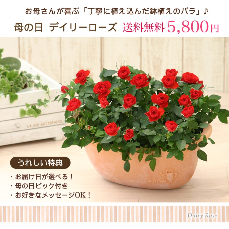 ������̵�����������ŷ���ռ��ޡ��ǥ��꡼������