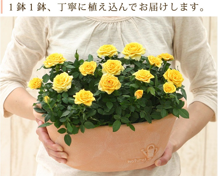 ������̵�����������ŷ���ռ��ޡ��ǥ��꡼������