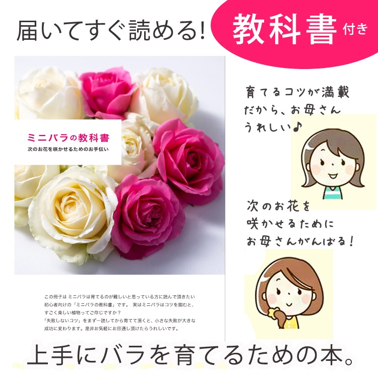 ������̵�����������ŷ���ռ��ޡ��ǥ��꡼������