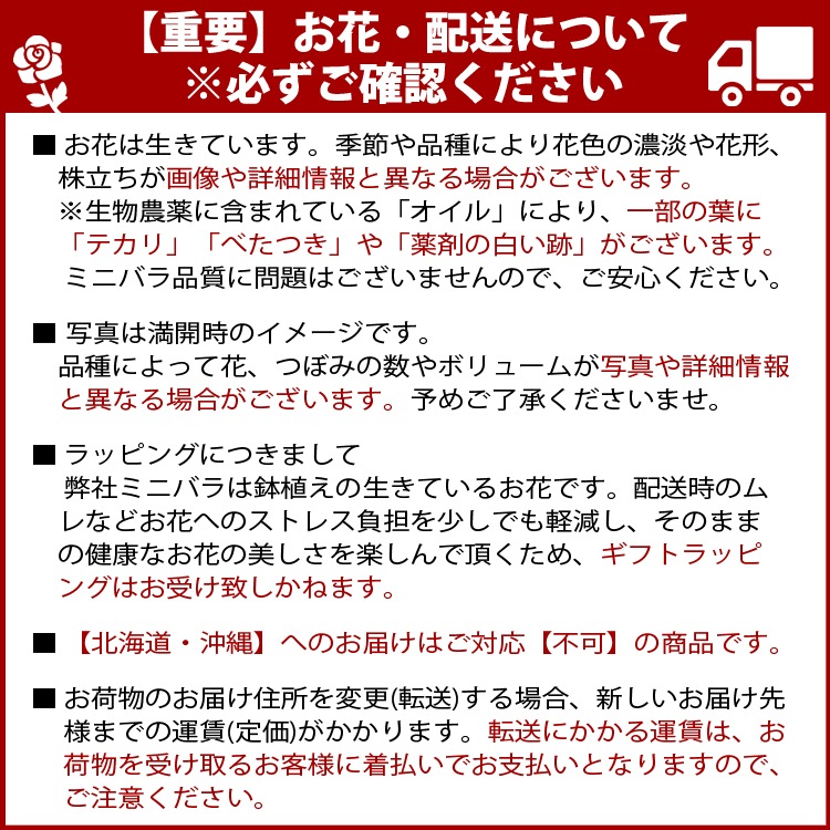 ������̵�����������ŷ���ռ��ޡ��ǥ��꡼������