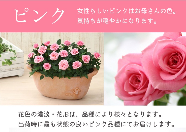 ������̵�����������ŷ���ռ��ޡ��ǥ��꡼������