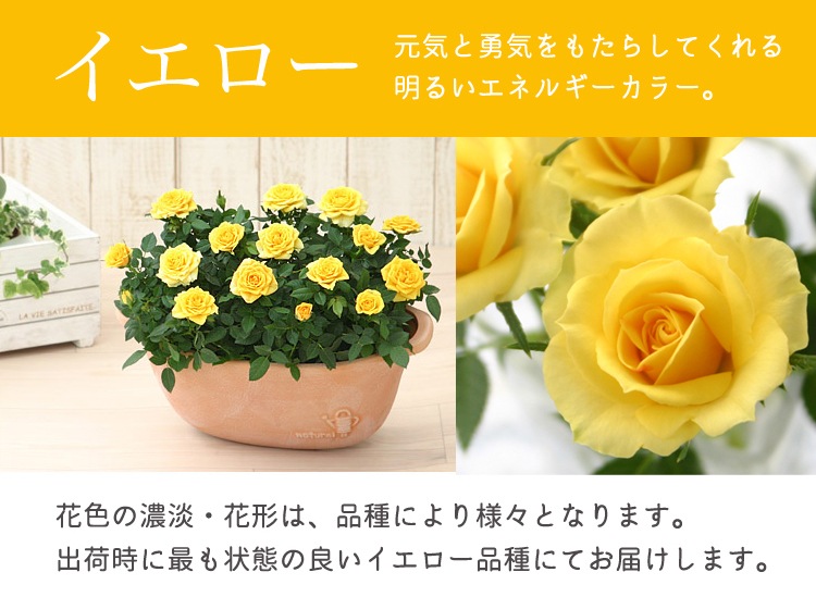 ������̵�����������ŷ���ռ��ޡ��ǥ��꡼������