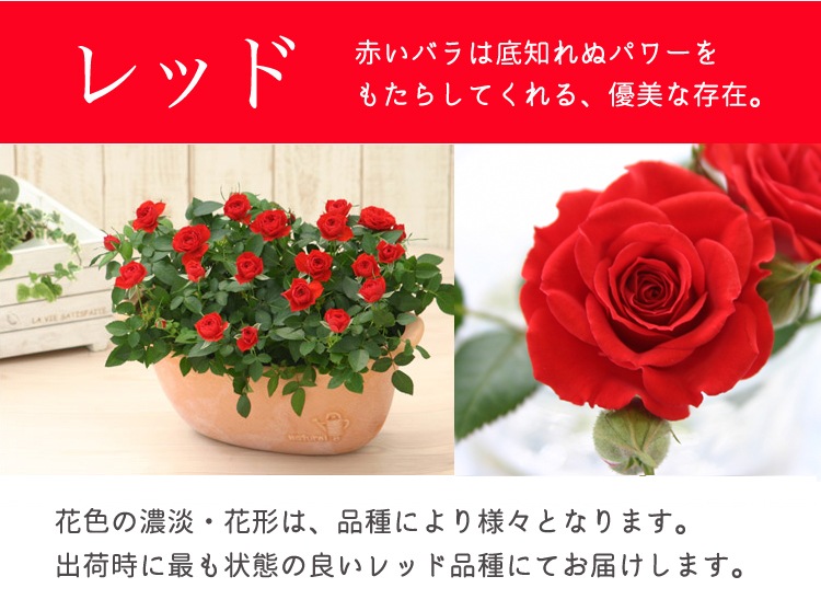 ������̵�����������ŷ���ռ��ޡ��ǥ��꡼������