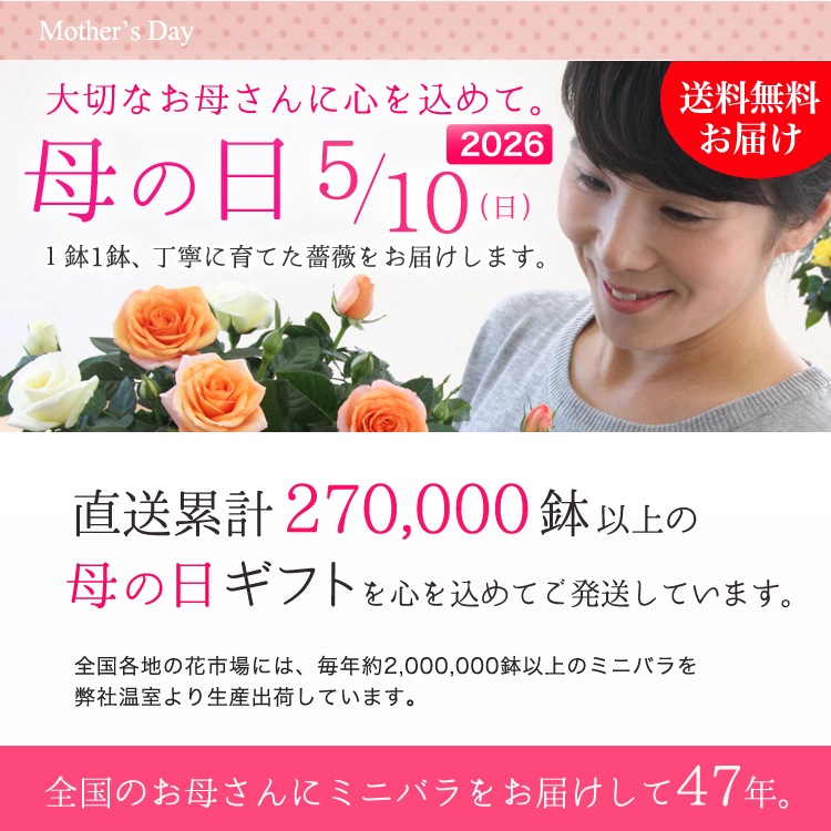 ������̵�����������ŷ���ռ��ޡ��ֺ餯3����������鯤ΥХ����å�