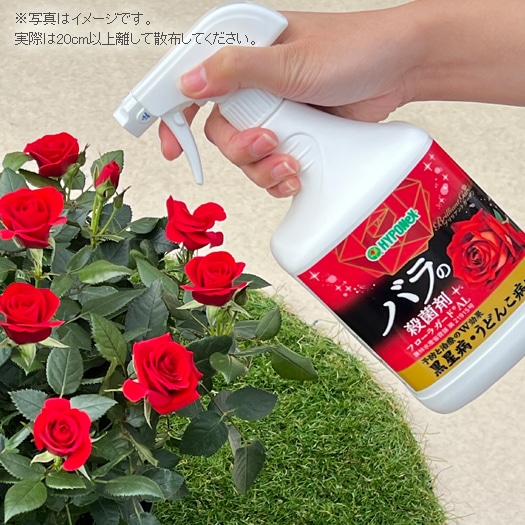 フローラガードAL（1000ml） | ガーデニング用品,薬剤 | ミニバラ専門