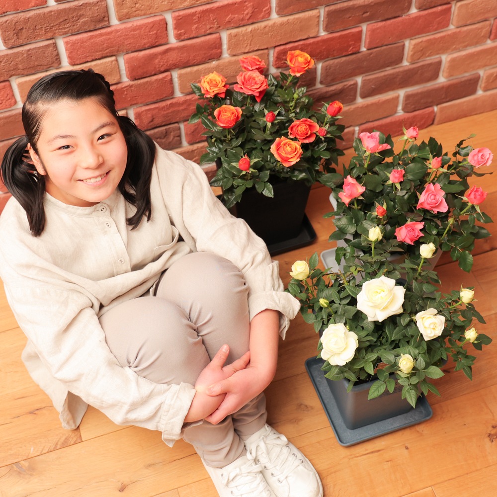������̵�����������ŷ���ռ��ޡ���餷�˴��ź��ROSE �Х��ȭ����