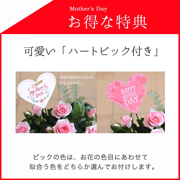 ������̵�����������ŷ���ռ��ޡ���餷�˴��ź��ROSE �Х��ȭ����