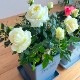 ������̵�����������ŷ���ռ��ޡ���餷�˴��ź��ROSE �Х��ȭ����