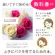 ������̵�����������ŷ���ռ��ޡ���餷�˴��ź��ROSE �Х��ȭ����