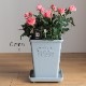 ������̵�����������ŷ���ռ��ޡ���餷�˴��ź��ROSE �Х��ȭ����