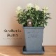 ������̵�����������ŷ���ռ��ޡ���餷�˴��ź��ROSE �Х��ȭ����