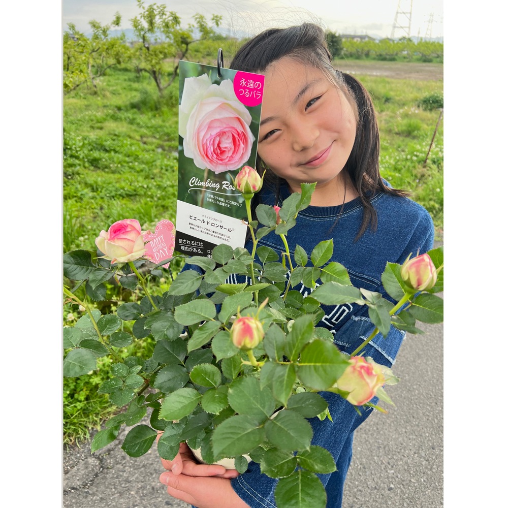 ������̵������������ԥ�����ɥ����󥵡��� ���ޤ��ڤĤܤ߲��դ���6��ʲ���ȭ�դ��� �Ĥ�Х�(CL) �֤�餭 ����ƥ��������å��ΥХ� 2006ǯ�����Х��Ϣ����Ʋ���ꡡ�вٴ��ָ��ꡡ�Х��� �����̻�Ω��