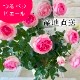 ������̵������������ԥ�����ɥ����󥵡��� ���ޤ��ڤĤܤ߲��դ���6��ʲ���ȭ�դ��� �Ĥ�Х�(CL) �֤�餭 ����ƥ��������å��ΥХ� 2006ǯ�����Х��Ϣ����Ʋ���ꡡ�вٴ��ָ��ꡡ�Х��� �����̻�Ω��