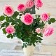 ������̵������������ԥ�����ɥ����󥵡��� ���ޤ��ڤĤܤ߲��դ���6��ʲ���ȭ�դ��� �Ĥ�Х�(CL) �֤�餭 ����ƥ��������å��ΥХ� 2006ǯ�����Х��Ϣ����Ʋ���ꡡ�вٴ��ָ��ꡡ�Х��� �����̻�Ω��