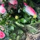 ������̵������������ԥ�����ɥ����󥵡��� ���ޤ��ڤĤܤ߲��դ���6��ʲ���ȭ�դ��� �Ĥ�Х�(CL) �֤�餭 ����ƥ��������å��ΥХ� 2006ǯ�����Х��Ϣ����Ʋ���ꡡ�вٴ��ָ��ꡡ�Х��� �����̻�Ω��
