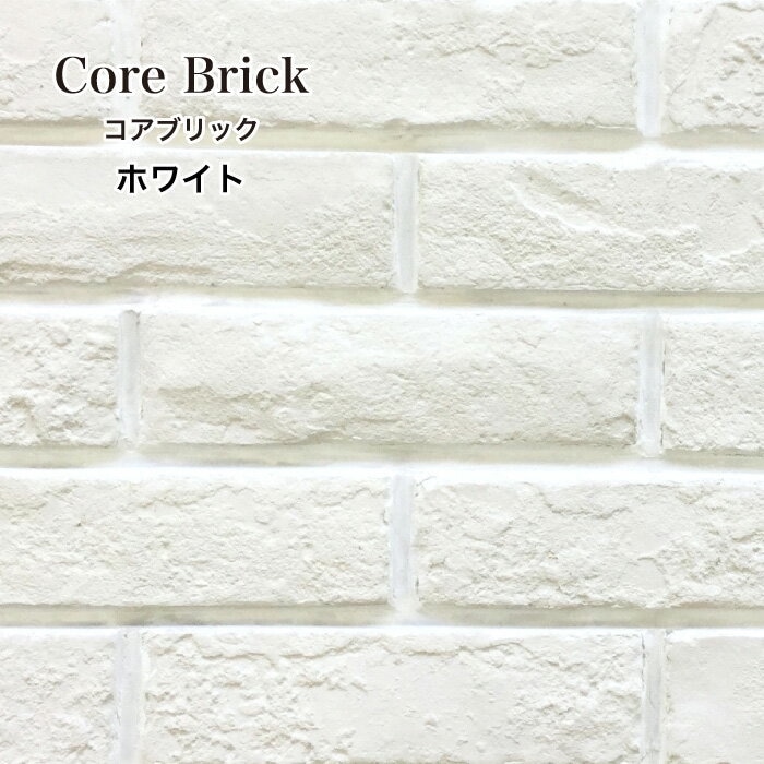 コアブリック ホワイト(00) ケース　送料無料