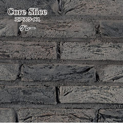 コアスライス グレー(03) ケース